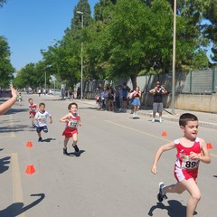 Si è conclusa la 14esima edizione della "Trinitapoli...in corsa"