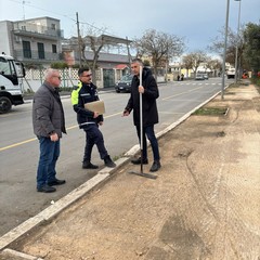 Rifacimento in corso dei marciapiedi in via Mandriglia