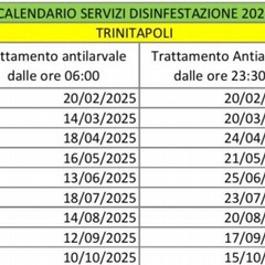 Il calendario degli interventi di disinfestazione