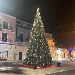 Al via la stagione natalizia a Trinitapoli: ieri l’accensione delle luminarie