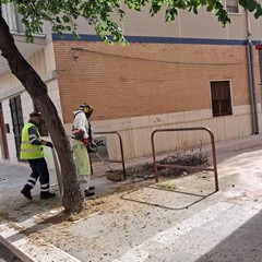Manutenzione del verde pubblico e dei servizi cimiteriali a Trinitapoli