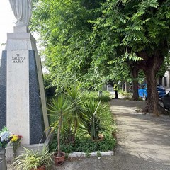 Manutenzione del verde pubblico e dei servizi cimiteriali a Trinitapoli