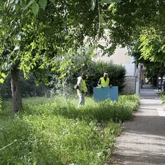 Manutenzione del verde pubblico e dei servizi cimiteriali a Trinitapoli