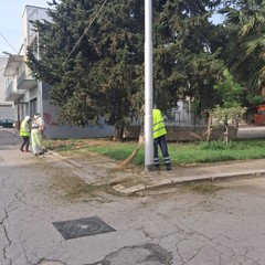 Manutenzione del verde pubblico e dei servizi cimiteriali a Trinitapoli