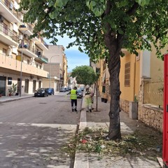 Manutenzione del verde pubblico e dei servizi cimiteriali a Trinitapoli