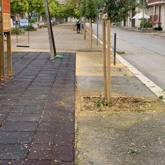 Manutenzione del verde pubblico e dei servizi cimiteriali a Trinitapoli