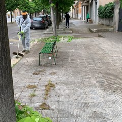 Manutenzione del verde pubblico e dei servizi cimiteriali a Trinitapoli