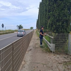 Manutenzione del verde pubblico e dei servizi cimiteriali a Trinitapoli