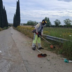 Manutenzione del verde pubblico e dei servizi cimiteriali a Trinitapoli