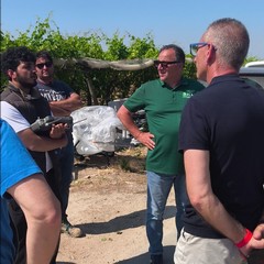 Droni in agricoltura: innovazione e sostenibilità per l’Agricoltura 4.0 a Trinitapoli