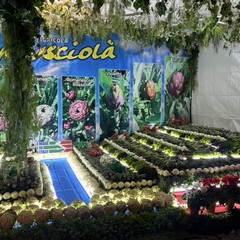 Sapori, cultura e tradizioni: grande successo a Trinitapoli per la Sagra del Carciofo