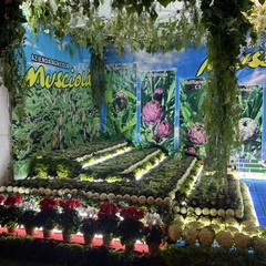 Sapori, cultura e tradizioni: grande successo a Trinitapoli per la Sagra del Carciofo