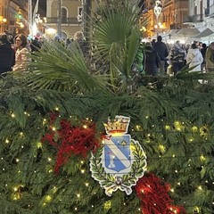 Sapori, cultura e tradizioni: grande successo a Trinitapoli per la Sagra del Carciofo