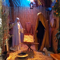 La Confraternita di Sant’Anna accoglie il Natale con il concerto e la mostra dei Presepi