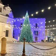 Al via la stagione natalizia a Trinitapoli: ieri l’accensione delle luminarie