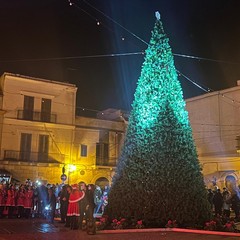 Al via la stagione natalizia a Trinitapoli: ieri l’accensione delle luminarie