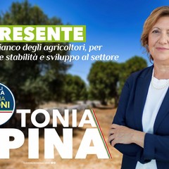 spina tonia