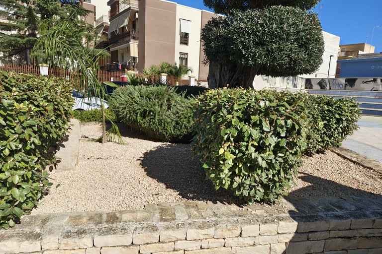 Aiuole Trinitapoli