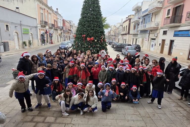 Albero in Piazza Veneto trinitapoli