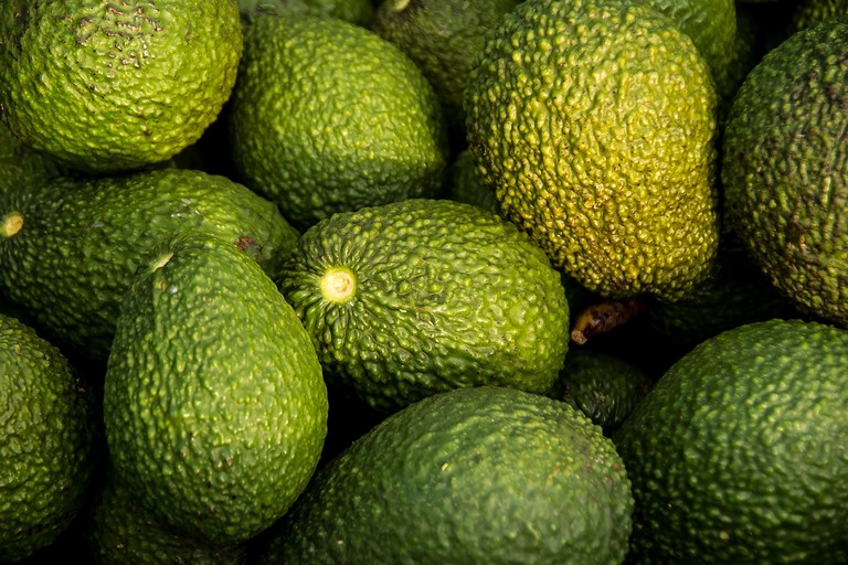 Avocado (repertorio)