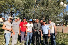 Trenta aspiranti portatori alle prese coi segreti dell'agricoltura
