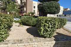 Conclusi gli interventi di riqualificazione delle aree verdi a Trinitapoli