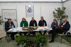 16ª Sagra del Carciofo: ampia partecipazione al Convegno “Vantaggi dello Sviluppo Turistico per il Territorio”