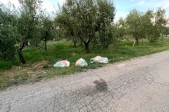 Via Mandriglia sommersa dai rifiuti: «Trinitapoli merita ben altro»