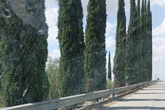 Interventi straordinari nell'area cimiteriale