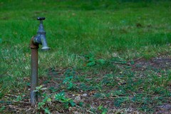 Agricoltura senz'acqua nella Bat. Cia Puglia: "Persi finanziamenti, è emergenza idrica"