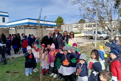 Giornata Nazionale dell’Albero, a Trinitapoli protagonisti alunni e docenti