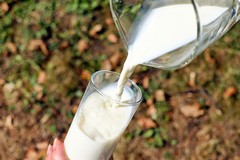 Latte, produzione in aumento nella Bat: +7,25%