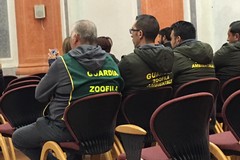 “Differenziamoci ancora” a Trinitapoli: due giorni di sensibilizzazione ambientale