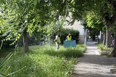 Manutenzione del verde pubblico e dei servizi cimiteriali a Trinitapoli