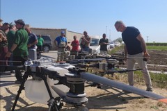 Droni in agricoltura: innovazione e sostenibilità per l’Agricoltura 4.0 a Trinitapoli