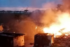 Roghi illeciti di rifiuti agricoli e plastiche: il Sindaco di Trinitapoli chiede un'azione straordinaria