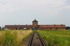 Trinitapoli ricorda la Shoah: le iniziative in città