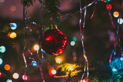 "Natale in Comune", il programma di eventi a Trinitapoli
