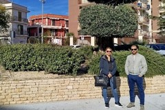 Al via a Trinitapoli la mappatura digitale e il censimento del verde pubblico