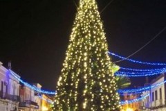 Natale a Trinitapoli: l'accensione del grande albero e delle luminarie