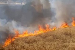 Roghi nelle campagne di Trinitapoli, San Ferdinando e Margherita di Savoia