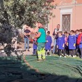 Raccolta delle olive per gli alunni dell’Istituto Comprensivo Don Milani Garibaldi Leone