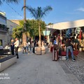 Grande successo per il mercato serale straordinario di Trinitapoli: tantissime persone nella zona di Via Vittorio Veneto