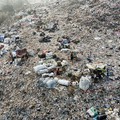 Abbandono rifiuti, a Trinitapoli iniziative per contrastare il fenomeno