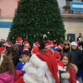 Addobbi degli alberi di Natale: l'evento con amministrazione e alunni del Don Milani-Garibaldi-Leone