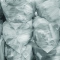 Distribuzione delle buste per il Servizio di Ecologia