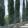 Interventi straordinari nell'area cimiteriale