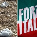 Intimidazione all'on. Sannicandro, Forza Italia Trinitapoli: «Ci dissociamo senza se e senza ma»