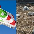 «Gesto infame e macabro, massima solidarietà»: PD Trinitapoli sull'attacco a Sannicandro