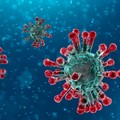Coronavirus, la Puglia sfiora i 600 positivi. +51 solo nelle ultime ore